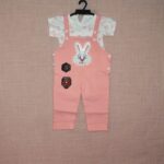 baby jumpsuit for 2-3 years